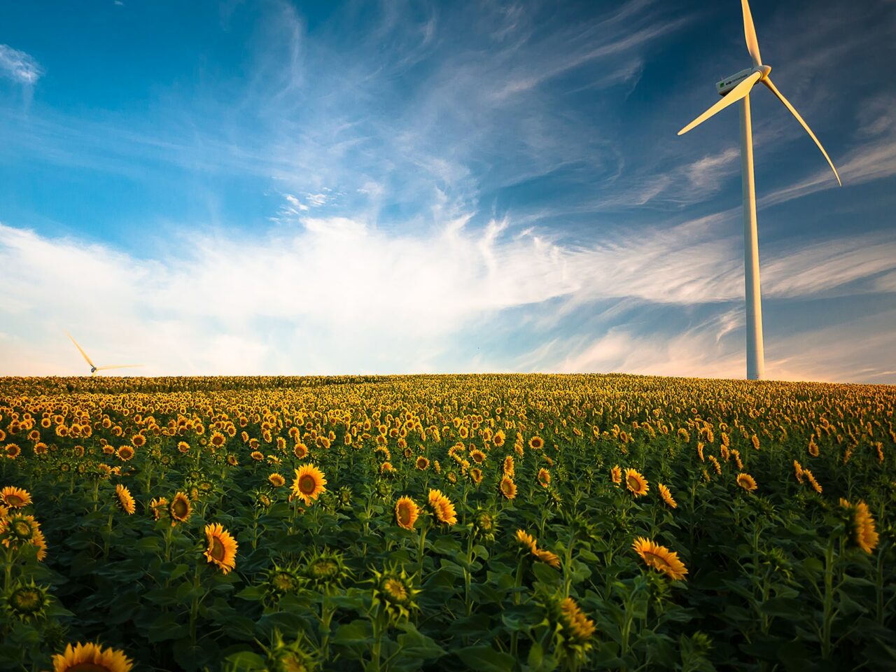 gustavo-quepon-pF_2lrjWiJE-unsplash